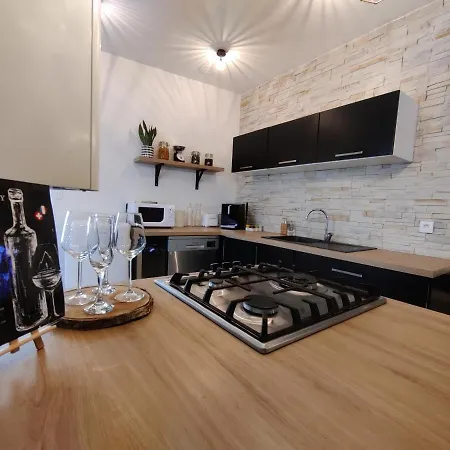 Apartamento Hyper Centre - Leman Odyssey *